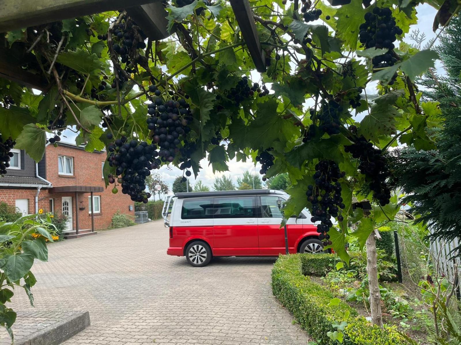 Neumuehler Hof- Ferienwohnung "Benjamin" Mit Grosser Privater Dachterasse Und Guter Anbindung In Die City Schwerin  Esterno foto